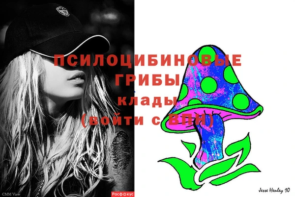 2c-b Козельск