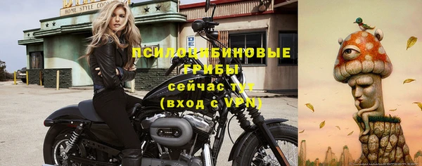 дурь Кодинск