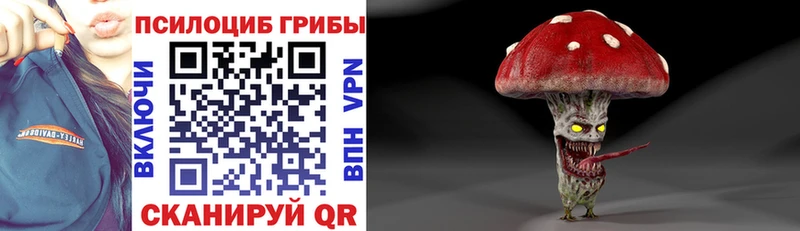 Купить  Игарка  Галлюциногенные грибы MAGIC MUSHROOMS 